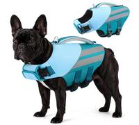 Queenmore Gilets De Sauvetage Grande Taille Réglable & Réfléchissant Gilets De Flottaison avec Poignée De Sauvetage Bouée pour Chien pour Teckel, Bouledogue Français, Staffordshire, Teal, M