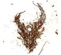 Queensrÿche - Queensryche