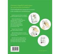 Quel est cet oiseau ? Sébastien Turpin (Auteur), Léo Martin (Auteur), Lisa Zordan (Illustration)