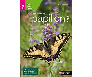 Quel est donc ce papillon ? - Guide Nature Nathan