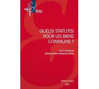 Quel(S) Statut(S) Pour Les Biens Communs ?