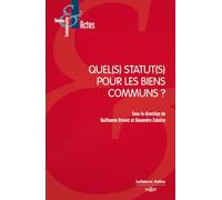 Quel(S) Statut(S) Pour Les Biens Communs ?