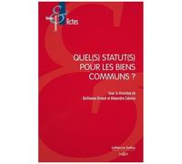 Quel(S) Statut(S) Pour Les Biens Communs ?