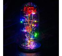 QUELIEN Rose de la Belle et de la Bête, Rose Galaxie, Cadeau pour Petite Amie, Cadeau Unique pour Femme, Noël, Anniversaire, Thanksgiving, Saint-Valentin, Anniversaire de Mariage (Rouge)