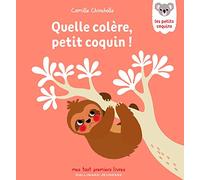 Quelle colère, petit coquin – Gallimard