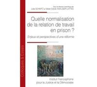 Quelle normalisation de la relation de travail en prison ?: Enjeux et perspectives d'une réforme (Tome 146)