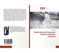 Quelle place de l'eau pour rendre la ville plus résiliente