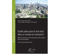 Quelle place pour la low-tech dans un monde en transition ? Retours d'acteurs de la recherche et du monde socio-économique - Audrey Tanguy - Presses Des Mines - broché - Etude