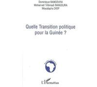 Quelle Transition Politique Pour La Guinée?