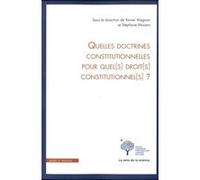 Quelles doctrines constitutionnelles pour quel(s) droit(s) constitutionnel(s) ? Xavier Magnon (Auteur), Stéphane Mouton (Auteur)