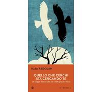 Quello che cerchi sta cercando te. Un viaggio mistico nella vita e nella poesia di Rumi