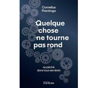 Quelque chose ne tourne pas rond. Le péché dans tous ses états