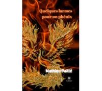Quelques larmes pour un phénix - Mathieu Paillé - Le Lys Bleu - broché - Roman