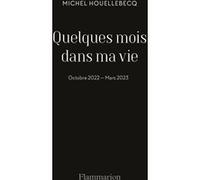 Michel Houellebecq – Quelques mois dans ma vie – Flammarion