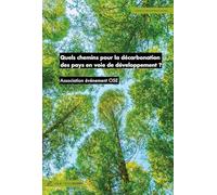 Quels chemins pour la décarbonation des pays en voie de développement ?