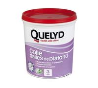 Quelyd Colle Dalles de Plafond Polystyrène-Colle en Pâte Prête à l'Emploi pour Dalles,Intérieur-Sans Solvant-Blanc-Seau de 1 kg(3m²)