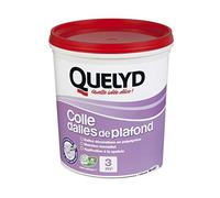 Quelyd Colle Dalles de Plafond Polystyrène - Colle en Pâte Prête à l'Emploi pour Dalles, Poutres, Moulures et Panneaux Isolants Légers - Intérieur - Sans Solvant - Blanc - Seau de 1 kg (3 m²)