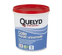 Quelyd Colle Murale Universelle Pâte - Pot de 1 kg