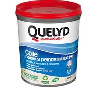 Quelyd Colle Papiers Peints Intissés en Pâte - Toutes Pièces - Application Directement Au Mur - Prête à l'Emploi - Sans Solvant - Pot de 1 Kg
