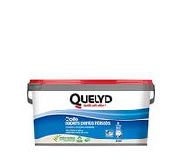 Quelyd Colle Papiers Peints intissés Pâte 3kg