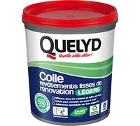 Quelyd Colle Revêtements Lisses de Rénovation Légers - Application Murale - Efficace en Cuisines et Salles de Bain - Tous Supports - 1 Pot 1 kg