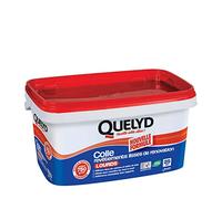 Quelyd Colle Revetements Lisses de Renovation Lourd, 5 kg