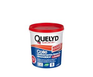 Quelyd Colle Revêtements lisses de Rénovation Lourds - Pâte - Pot de 1 kg