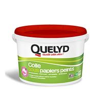 Quelyd Colle tous Papiers Peints en pâte avec Indicateur Colore 10 kg