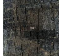 Quenum - Solitaire [Import]