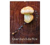 Quer durch die Pilze (Wandkalender 2026 DIN A2 hoch), CALVENDO Monatskalender: Pilze - Farbkleckse in Wald und Wiese