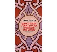 Querelle autour d'un petit cochon italianissime à San Salvario Amara Lakhous (Auteur), Elise Gruau (Traduction)