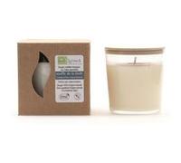 Quésack - bougie parfumée biologique 230g souffle de la forêt G