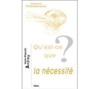 Qu'est-ce que la nécessité? Jean-Pascal Anfray (Auteur)