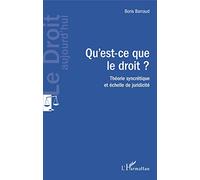 Qu'est-ce que le droit ? Théorie syncrétique et échelle de juridicité - Boris Barraud - L'harmattan - broché - Etude