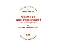 Qu'est-ce que l'esclavage ? Olivier Grenouilleau (Auteur)