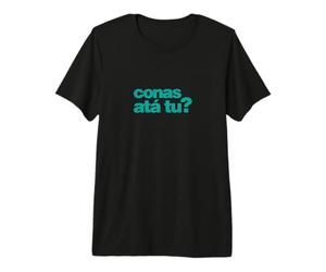 Qu'est-ce Que tu ES ? Comment Allez-Vous ? dans Le rôle de : Gaeilge - Irish - Green T-Shirt Haut de Gamme