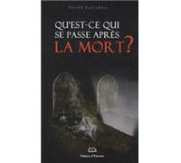 Qu'est-ce-qui se passe apres la mort - S. Rafi'uddim - Ennour - broché - Livre