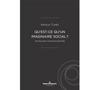 Qu'est-ce qu'un imaginaire social ?: Une discussion critique de Castoriadis