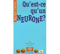 Qu'est-ce qu'un neurone ?