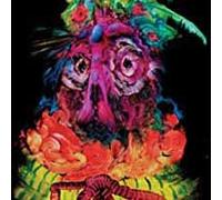 Quest For Fire - Lights From Paradise - CD - K72z