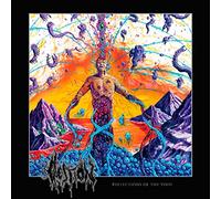 Question - Reflections of The Void [Import]