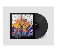 Question - Reflections of the Void [VINYL]