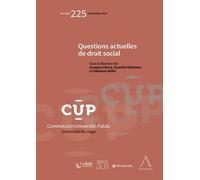 Questions actuelles de droit social - Jacques Clesse - Anthemis - broché - Essai