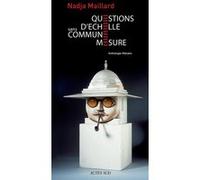Questions d'échelle Nadja Maillard (Auteur), Pierre Frey (Préface)