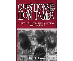 Questions for the Lion Tamer: Delving in the Mystery that is DMT