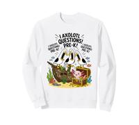 Questions Funny I Axolotl Pre K Pun Class Seagull Scream Sweatshirt