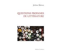 Questions profanes de littérature