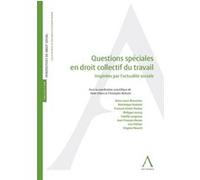 Questions spéciales en droit collectif du travail Christophe Bedoret (Auteur), Steve Gilson (Auteur)