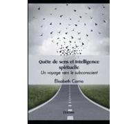 Quête De Sens Et Intelligence Spirituelle (French Edition)