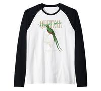 Quetzal Vintage Replendent Oiseaux Observation des Oiseaux Amour Art Manche Raglan